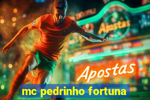 mc pedrinho fortuna